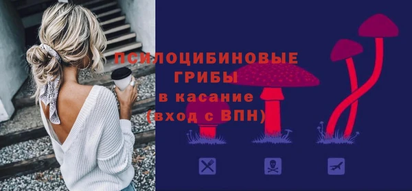 ПСИЛОЦИБИНОВЫЕ ГРИБЫ Балахна